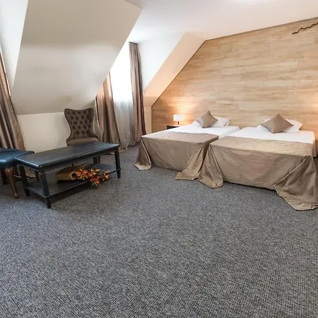 ホテル Wellness Bulgaria バンスコ